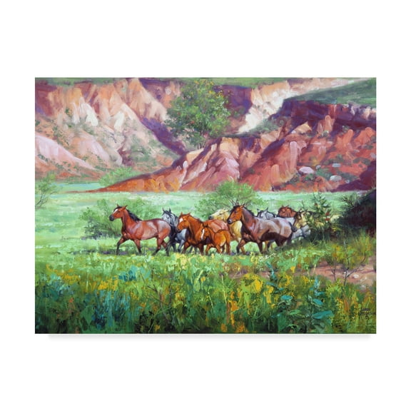 Trademark Fine Art 'On the Canyon Floor' Canvas Art by Jack Sorenson