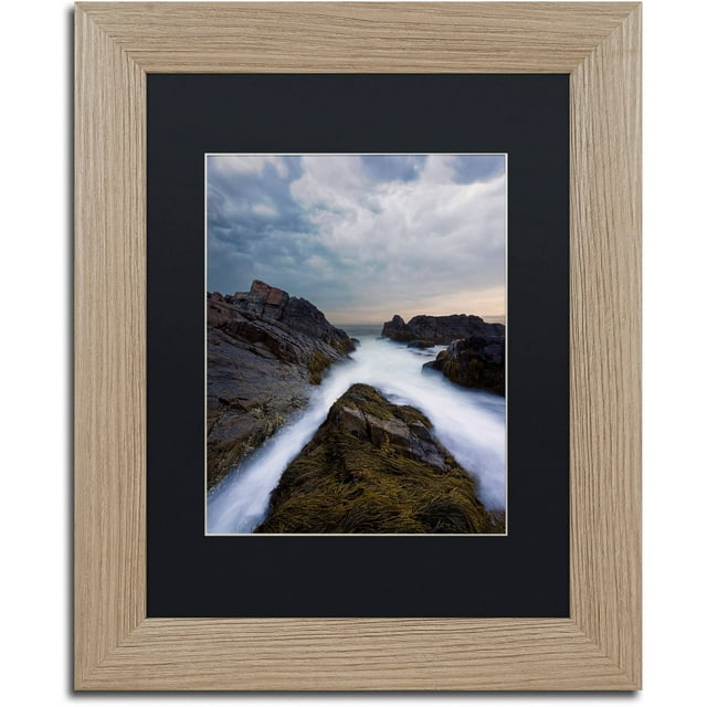 Trademark Fine Art "On the Rocks" Canvas Art by Michael Blanchette Photography Black Matte, Birch Frame
