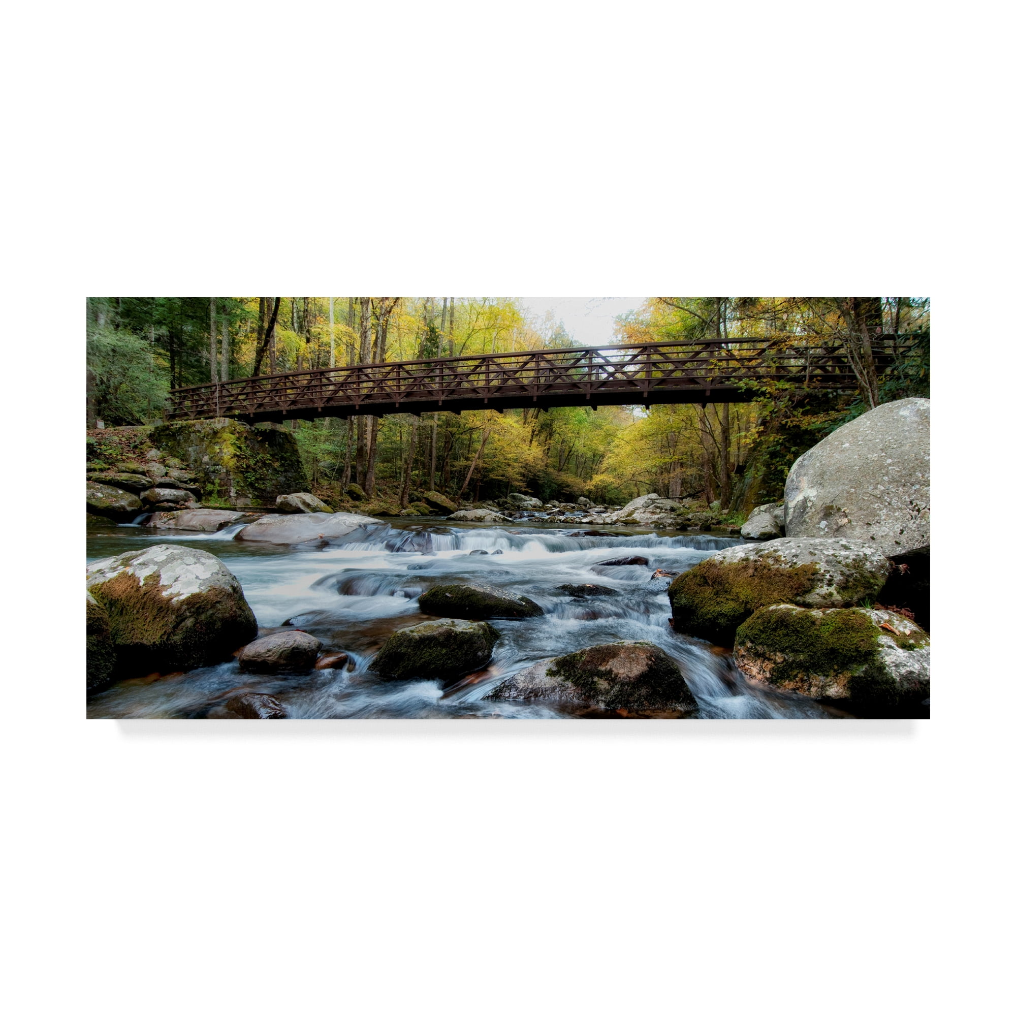 Danny Head Landscape Canvas Art with Wooden Bridge in Forest