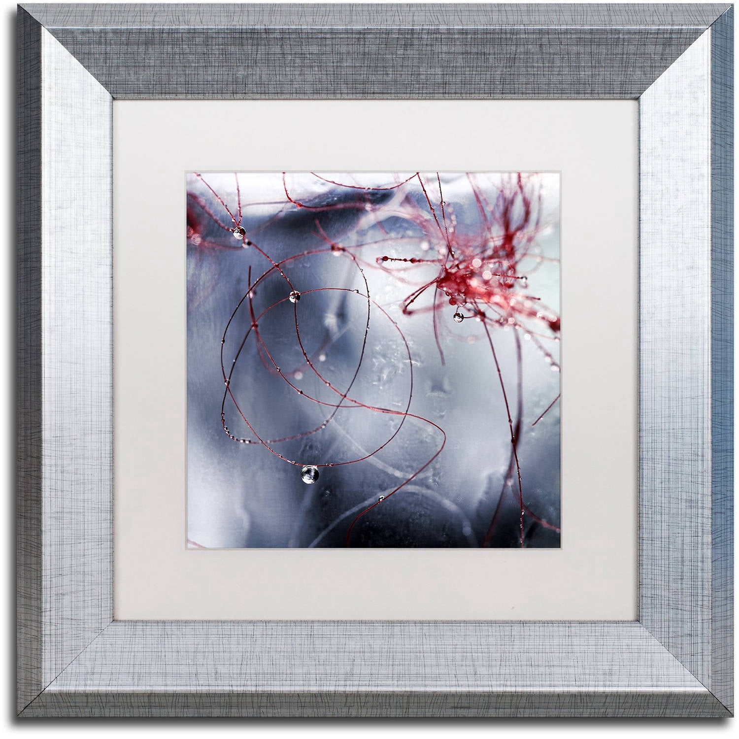 Trademark Fine Art "One Day I'll Find You" Canvas Art by Beata Czyzowska Young, White Matte, Silver Frame