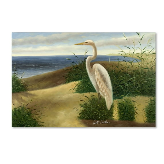 Trademark Fine Art "One Heron at the Beach" Canvas Art by Victor Giton