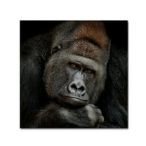 Trademark Fine Art 'One Moment In Contact' Canvas Art by Antje Wenner-Braun