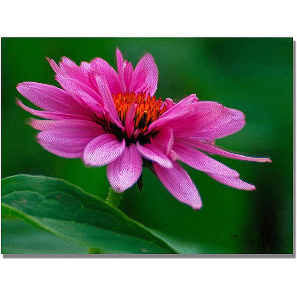 Trademark Fine Art "One Pedal at a Time" Canvas Wall Art by Lois Bryan