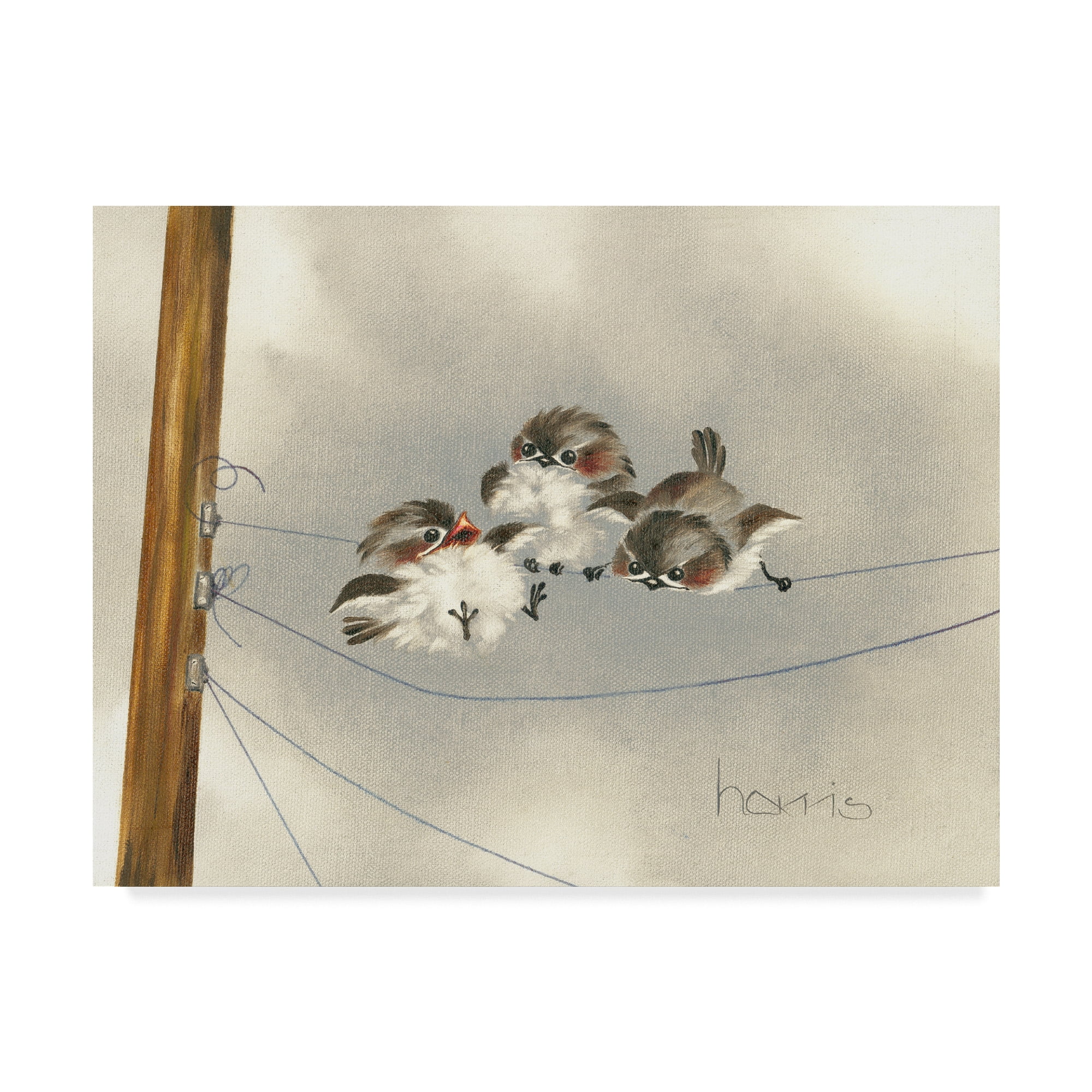 Trademark Fine Art 'One Ringy Dingy' Canvas Art by Peggy Harris