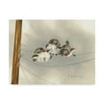 thumbnail image 1 of Trademark Fine Art 'One Ringy Dingy' Canvas Art by Peggy Harris, 1 of 3