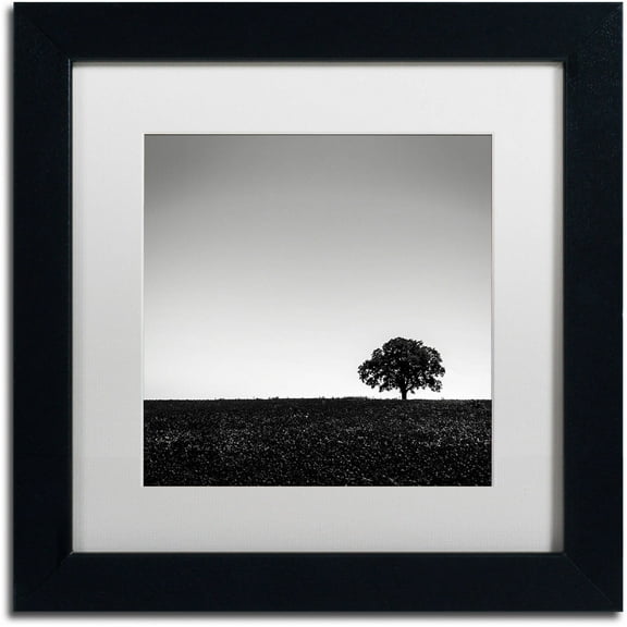 Trademark Fine Art "One Tree Hill" Canvas Art by Dave MacVicar, White Matte, Black Frame