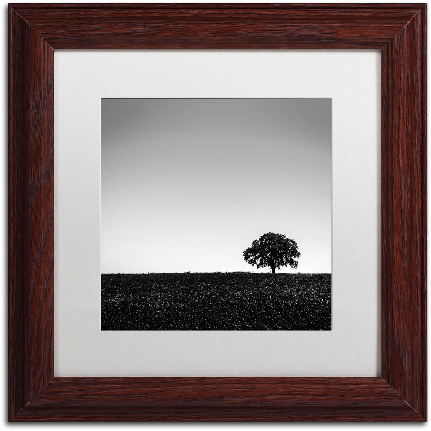 Trademark Fine Art "One Tree Hill" Canvas Art by Dave MacVicar, White Matte, Wood Frame