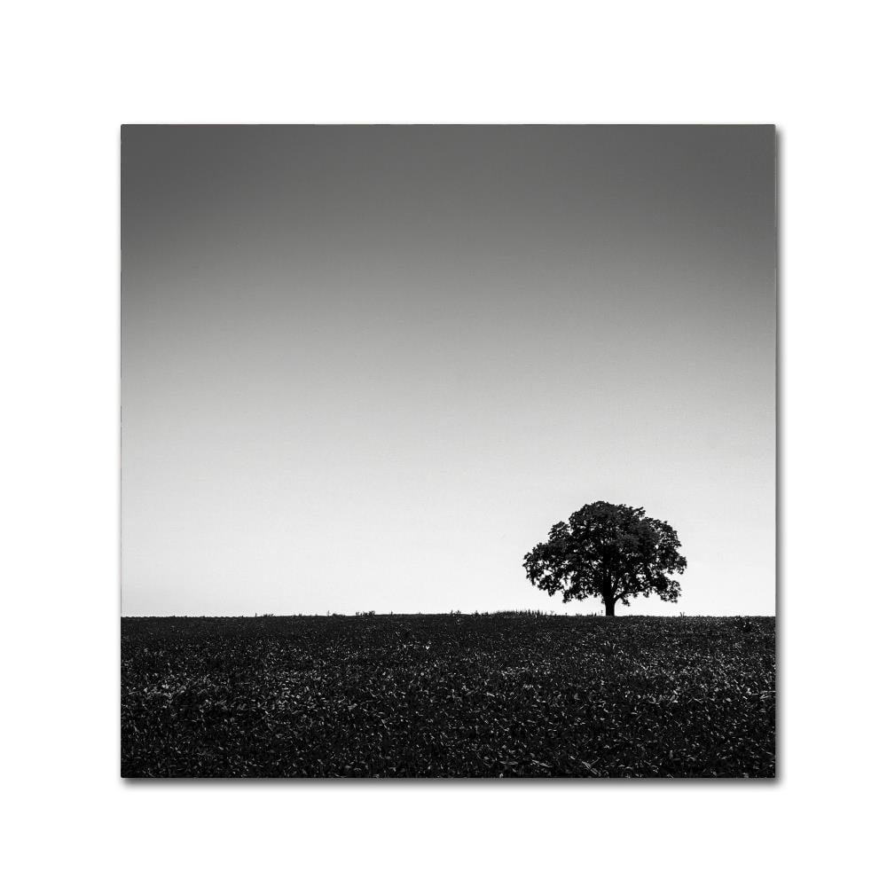Trademark Fine Art "One Tree Hill" Canvas Art by Dave MacVicar