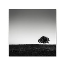 Trademark Fine Art "One Tree Hill" Canvas Art by Dave MacVicar