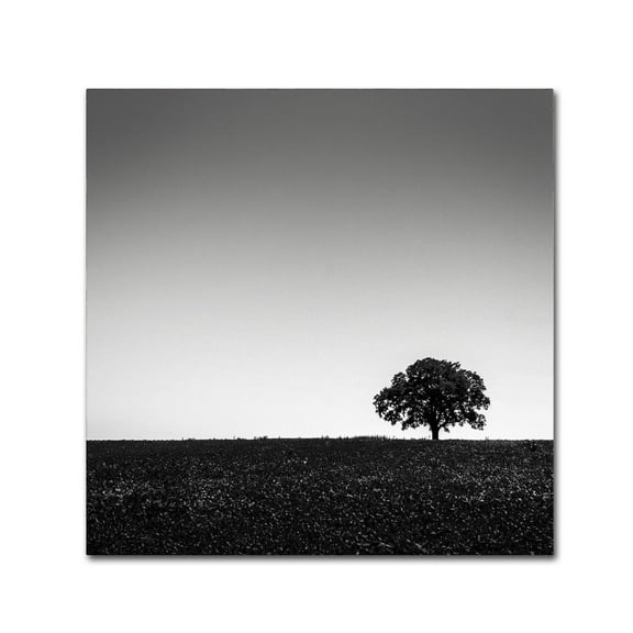 Trademark Fine Art "One Tree Hill" Canvas Art by Dave MacVicar