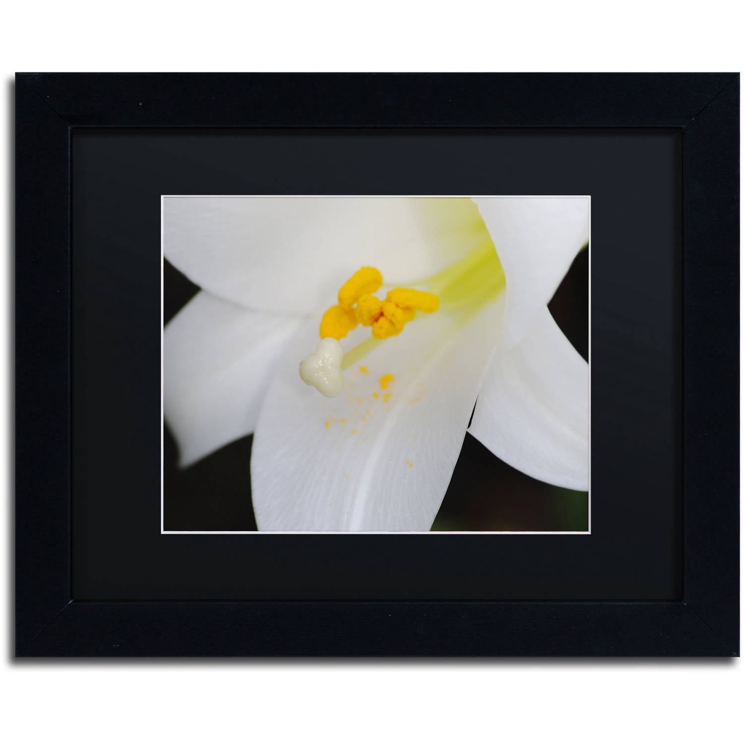 Trademark Fine Art "One Word" Canvas Art by Monica Mize, Black Matte, Black Frame