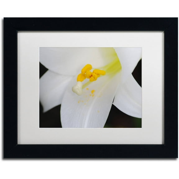 Trademark Fine Art "One Word" Canvas Art by Monica Mize, White Matte, Black Frame