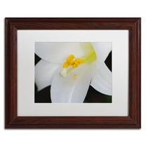 Trademark Fine Art "One Word" Canvas Art by Monica Mize, White Matte, Wood Frame