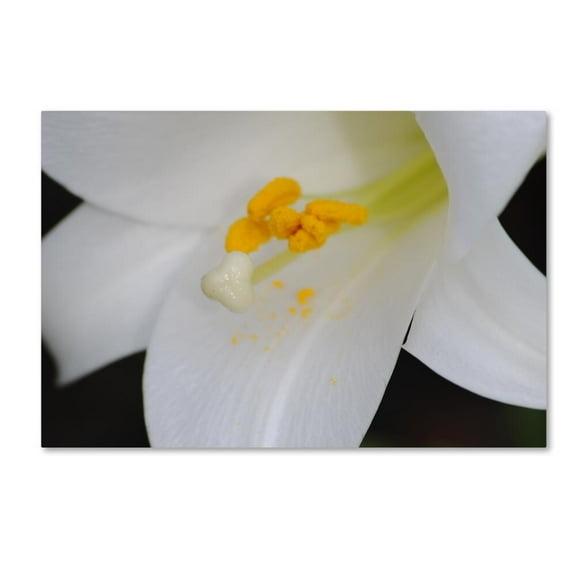 Trademark Fine Art "One Word" Canvas Art by Monica Mize