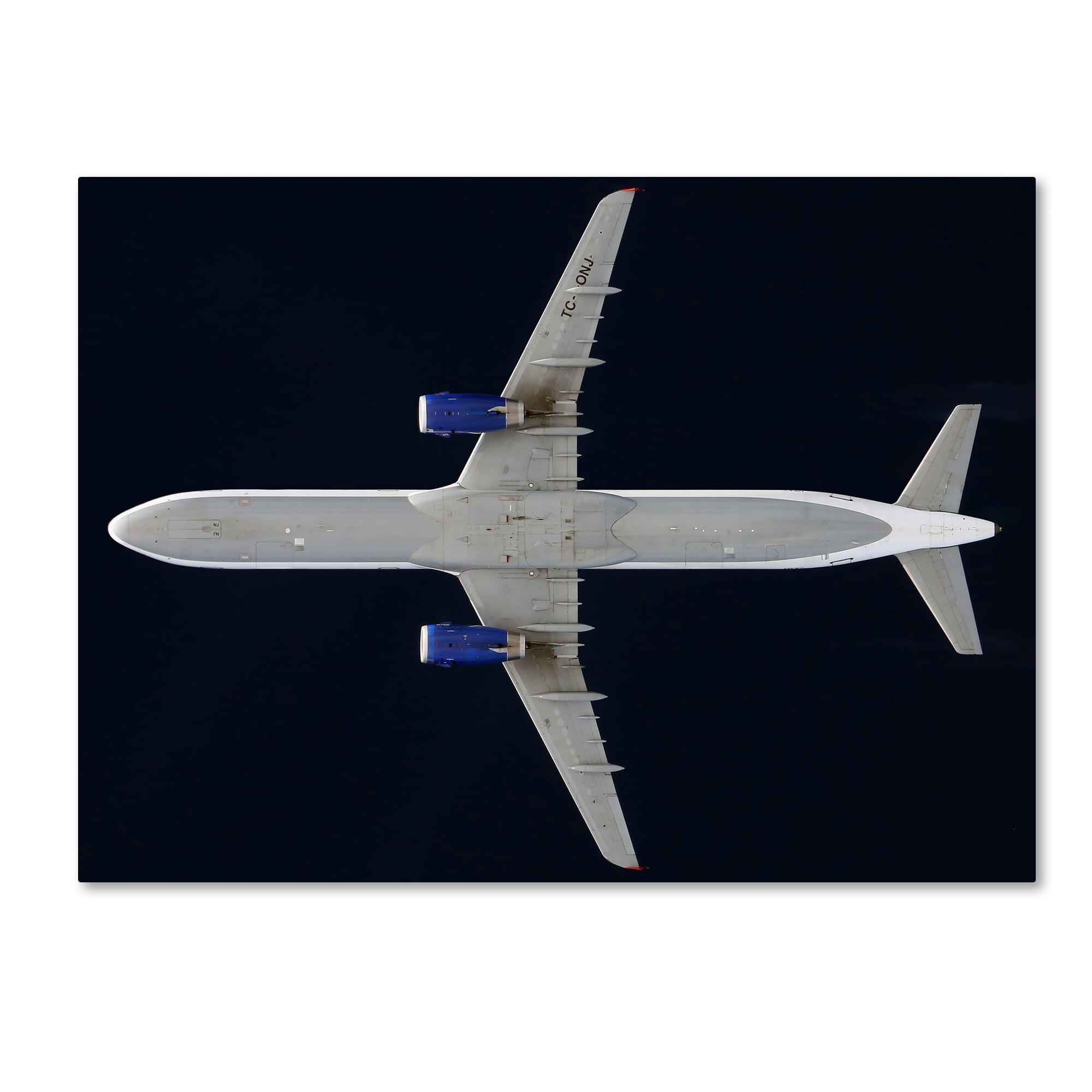Trademark Fine Art 'Onurair' Canvas Art by Niels Herbrich