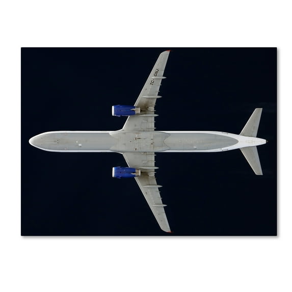 Trademark Fine Art 'Onurair' Canvas Art by Niels Herbrich