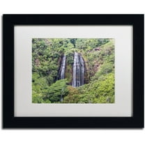 Trademark Fine Art 'Opaekaa Falls' Canvas Art by Pierre Leclerc, White Matte, Black Frame