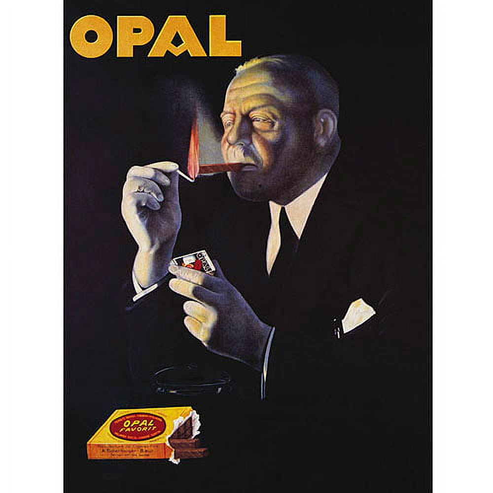 Trademark Global Canvas Print Opal Artwork 18x24 Giclee Decoration for Home  Office Gallery