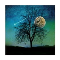 Trademark Fine Art 'Opalescent Sky' Canvas Art by Tina Lavoie