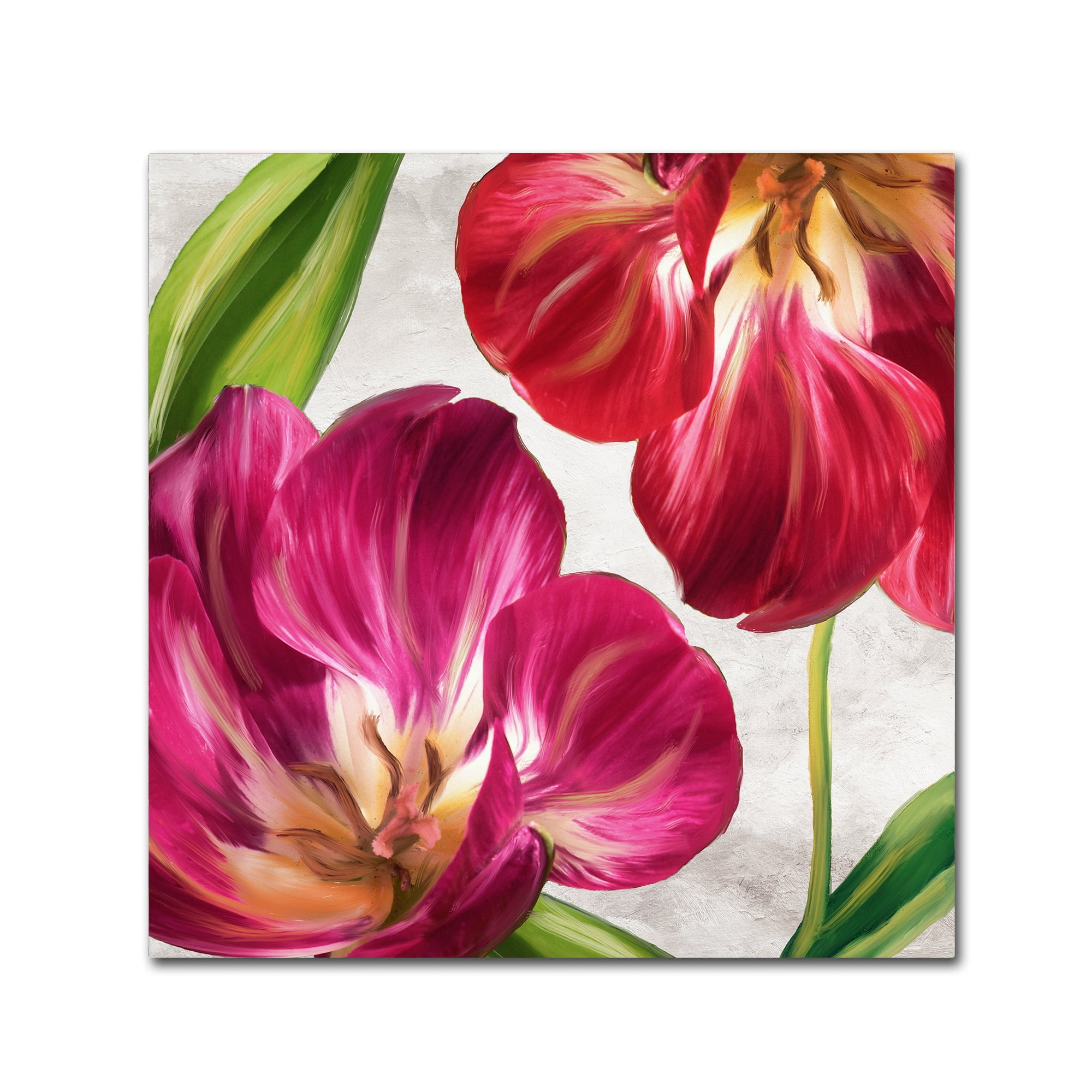 Trademark Fine Art 'Open Arms I' Canvas Art by Color Bakery