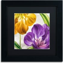 Trademark Fine Art "Open Arms II" Canvas Art by Color Bakery Black Matte, Black Frame