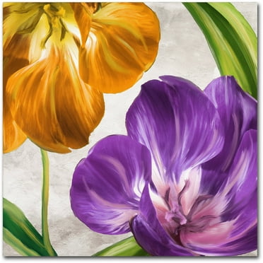 Trademark Fine Art "Open Arms II" Canvas Art by Color Bakery