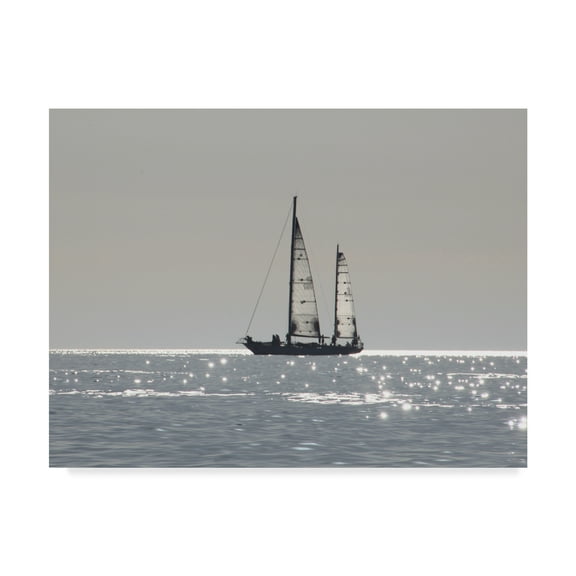 Trademark Fine Art 'Open Boat' Canvas Art by Liz Zernich