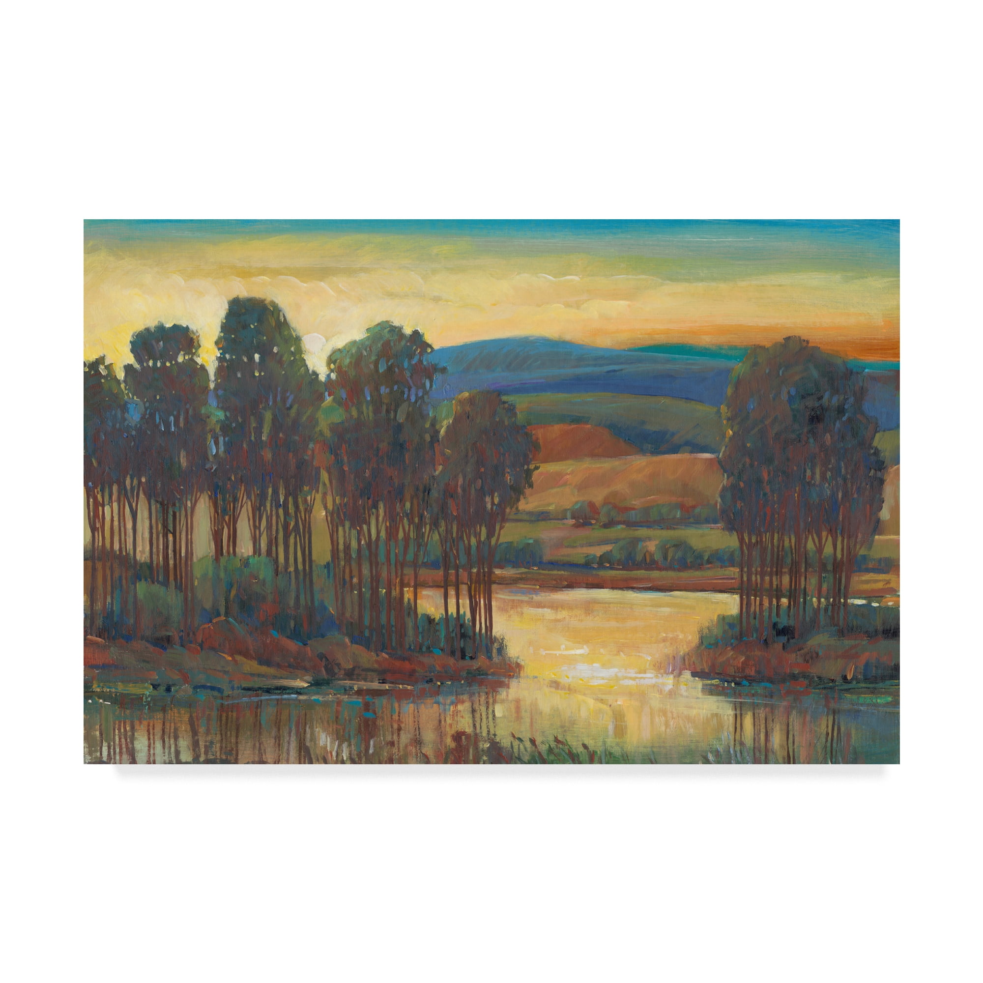 Trademark Fine Art 'Open Inlet I' Canvas Art by Tim OToole