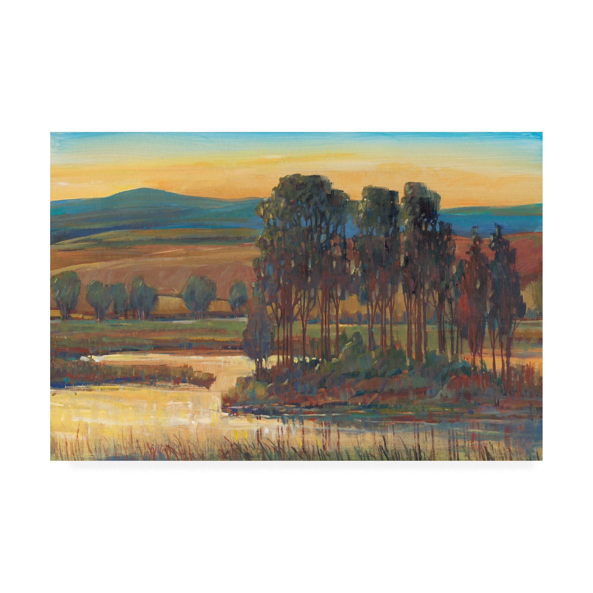 Trademark Fine Art 'Open Inlet Trees II' Canvas Art by Tim OToole