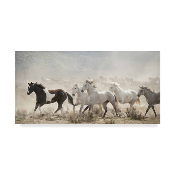 Trademark Fine Art 'Open Range' Canvas Art by PHBurchett