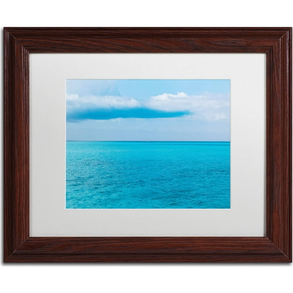 Trademark Fine Art "Open Water Blues I" Canvas Art by Yale Gurney, White Matte, Wood Frame