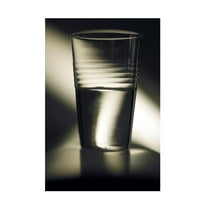 Trademark Fine Art 'Optimism Half Full Glass' Canvas Art by Joe Felzman Photography