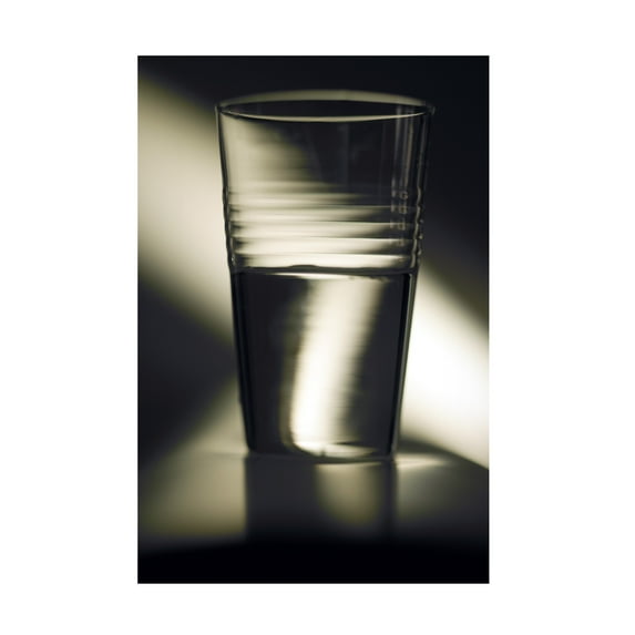 Trademark Fine Art 'Optimism Half Full Glass' Canvas Art by Joe Felzman Photography