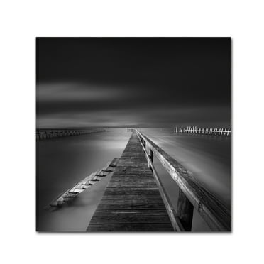Trademark Fine Art 'Options BW' Canvas Art by Moises Levy