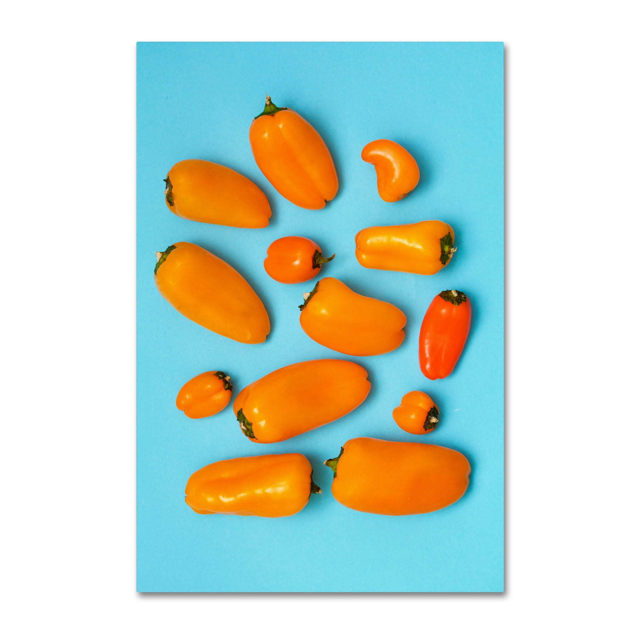 Trademark Fine Art 'Orange And Blue' Canvas Art by Sarah Saratonina