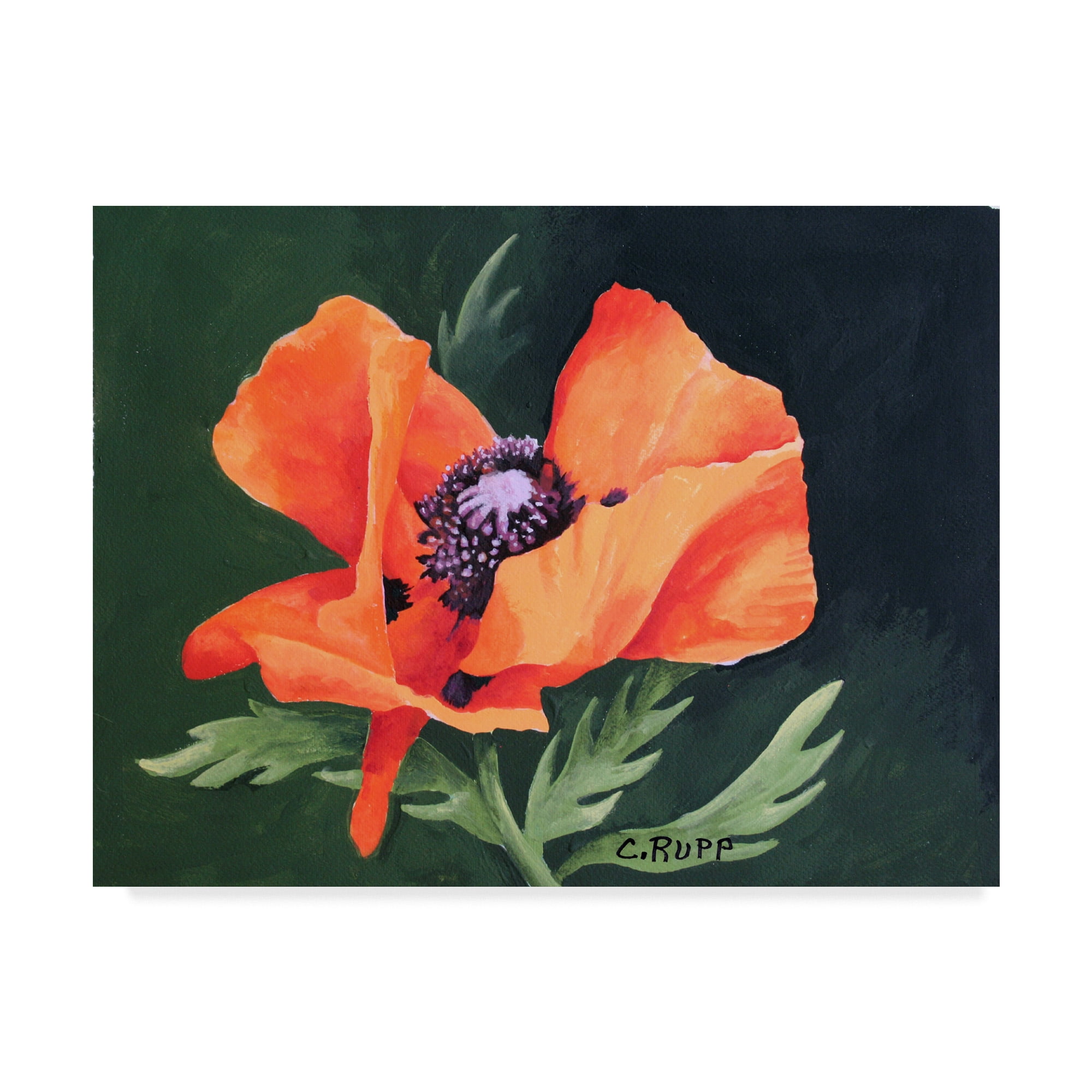 Trademark Fine Art 'Orange And Red Poppy III' Canvas Art by Carol J Rupp