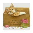 thumbnail image 1 of Trademark Fine Art 'Orange Cat In Box' Canvas Art by Francien Van Westering, 1 of 3