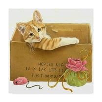 Trademark Fine Art 'Orange Cat In Box' Canvas Art by Francien Van Westering