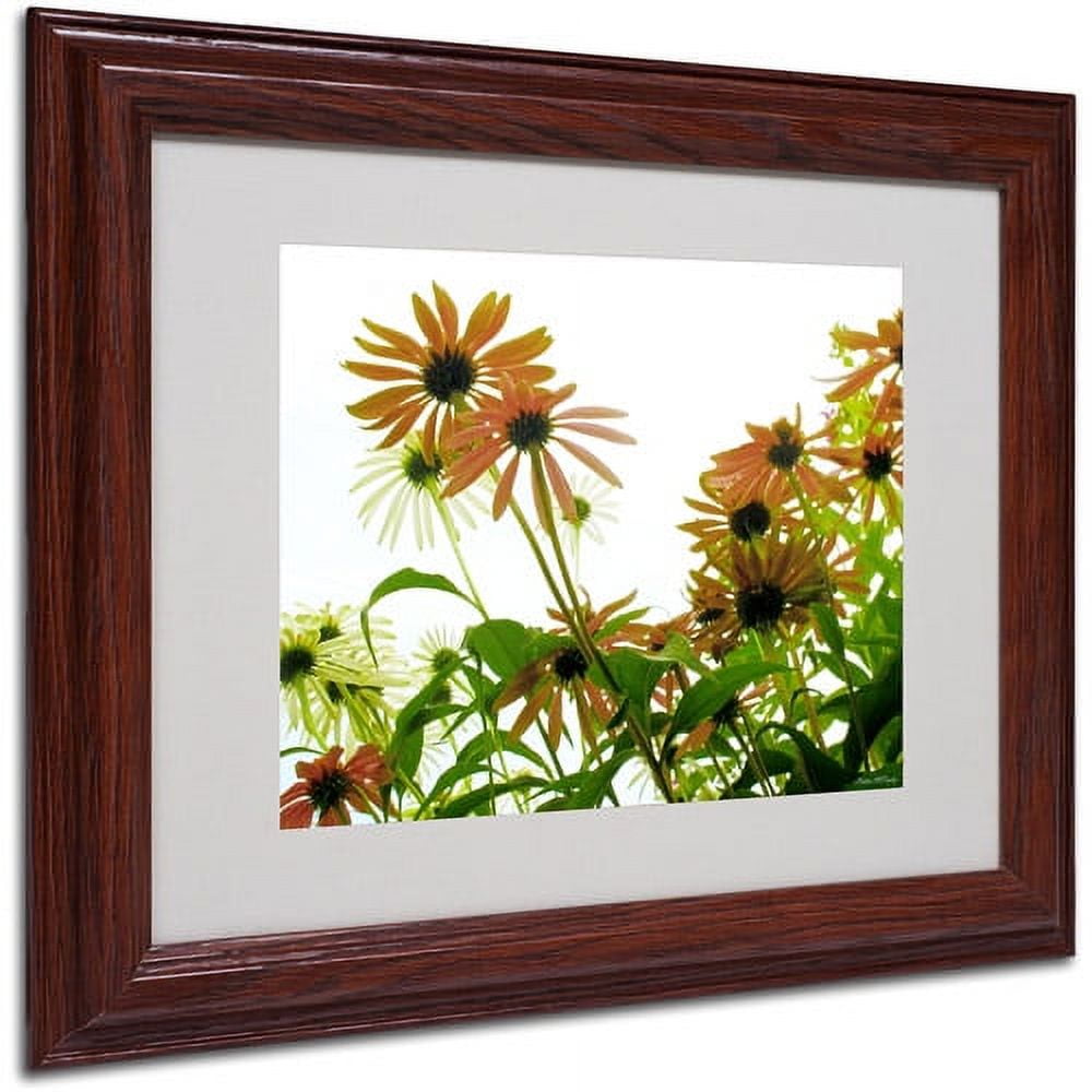 Trademark Fine Art "Orange Coneflowers" Canvas Art by Kathie McCurdy, Wood Frame