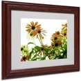thumbnail image 1 of Trademark Fine Art "Orange Coneflowers" Canvas Art by Kathie McCurdy, Wood Frame, 1 of 1