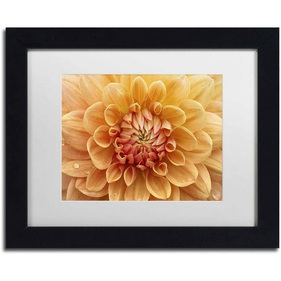 Trademark Fine Art 'Orange Dahlia' Canvas Art by Cora Niele, White Matte, Black Frame