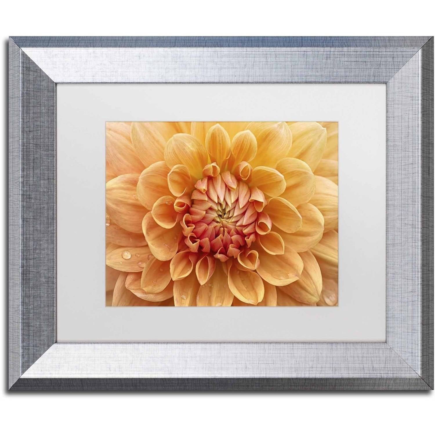 Trademark Fine Art 'Orange Dahlia' Canvas Art by Cora Niele, White Matte, Silver Frame