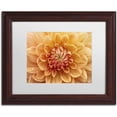 thumbnail image 1 of Trademark Fine Art 'Orange Dahlia' Canvas Art by Cora Niele, White Matte, Wood Frame, 1 of 1