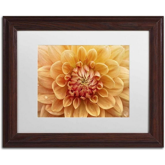 Trademark Fine Art 'Orange Dahlia' Canvas Art by Cora Niele, White Matte, Wood Frame