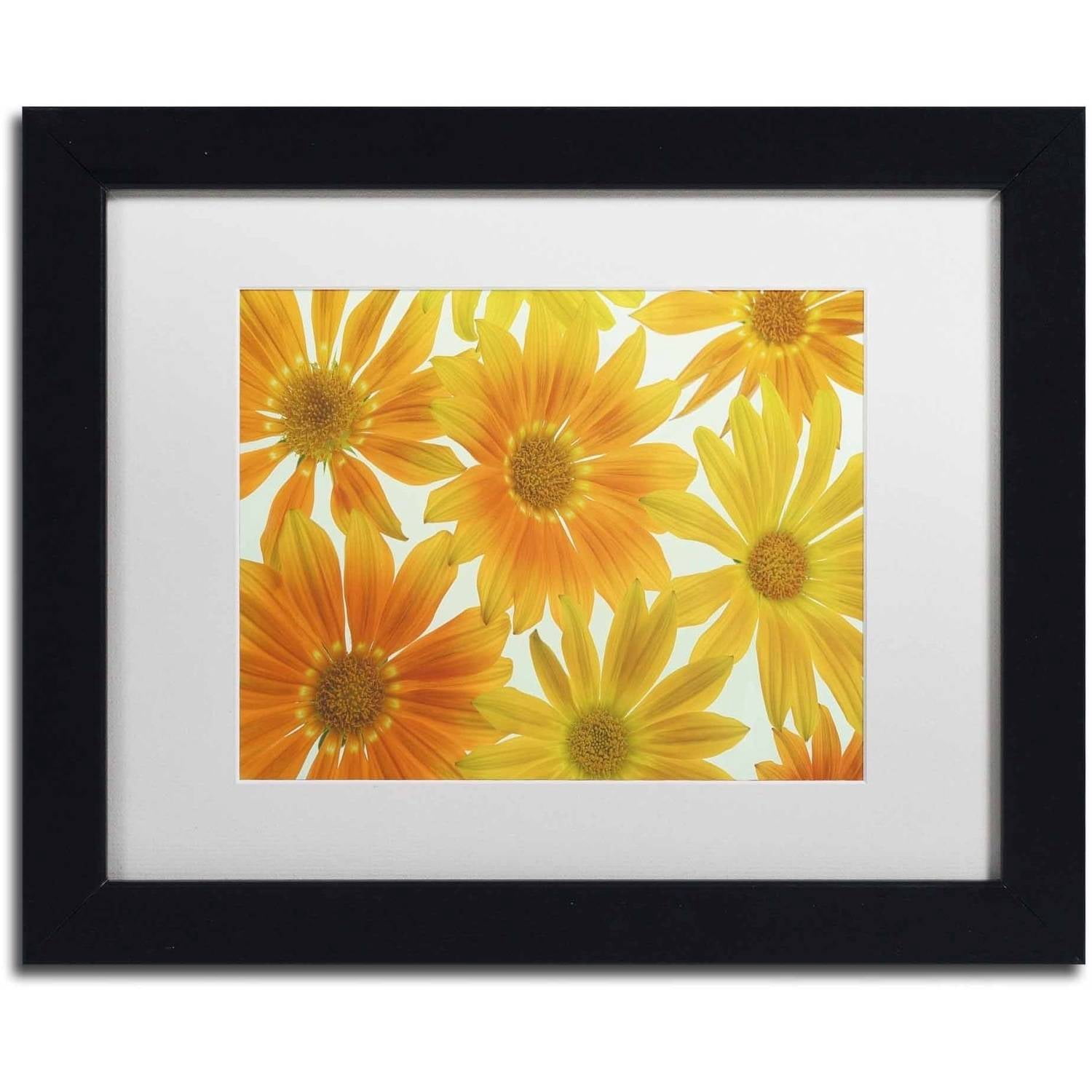 Trademark Fine Art 'Orange Daisies' Canvas Art by Cora Niele, White Matte, Black Frame