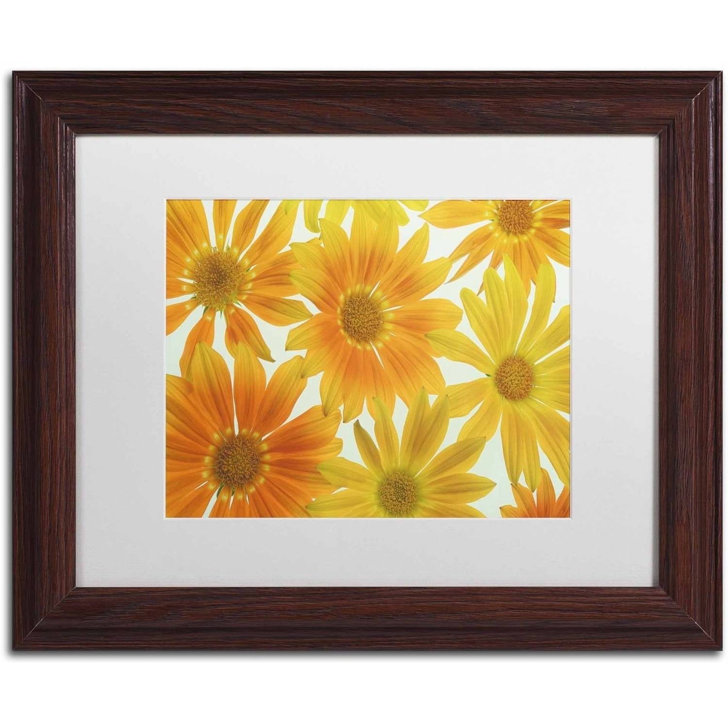 Trademark Fine Art 'Orange Daisies' Canvas Art by Cora Niele, White Matte, Wood Frame