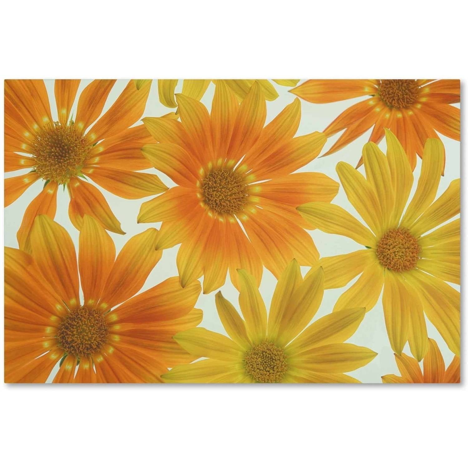Trademark Fine Art 'Orange Daisies' Canvas Art by Cora Niele