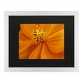 thumbnail image 1 of Trademark Fine Art 'Orange Flower' Canvas Art by Kurt Shaffer, 1 of 4