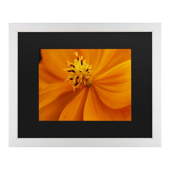 Trademark Fine Art 'Orange Flower' Canvas Art by Kurt Shaffer
