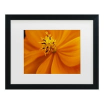 Trademark Fine Art 'Orange Flower' Canvas Art by Kurt Shaffer
